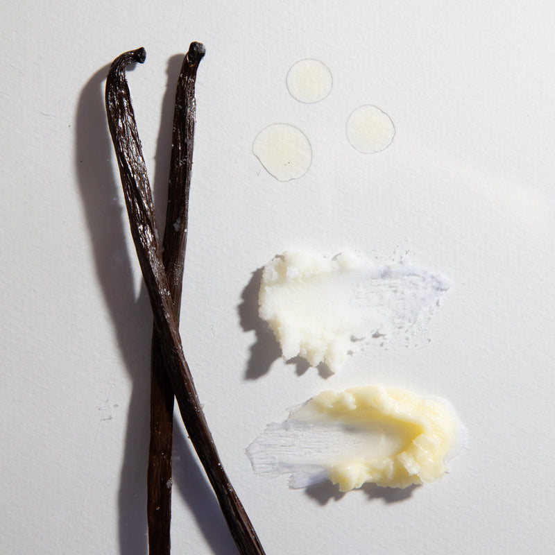 Meet the Rest of the Team: Jojoba Oil, Vanilla Beans, and Vitamin E in Shelter Skin Products