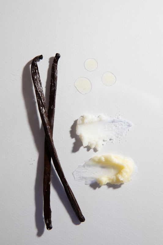 Meet the Rest of the Team: Jojoba Oil, Vanilla Beans, and Vitamin E in Shelter Skin Products